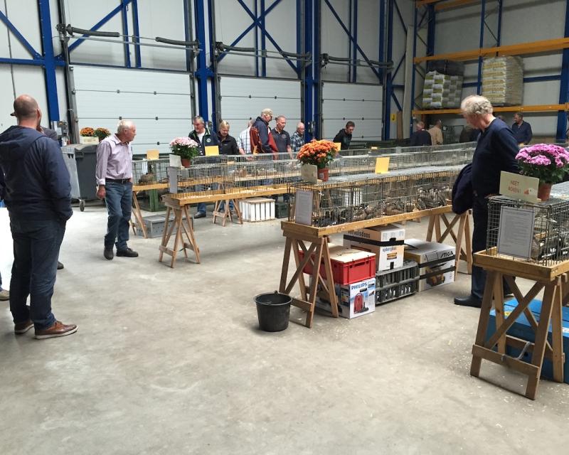 Aviornis ruilbeurs Burgum