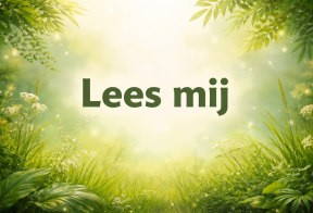 Lees mij