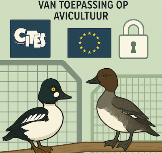 EU verordening bijlage B (CITES appendix II)