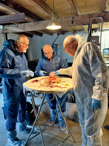 Uitvoeren van een sectie