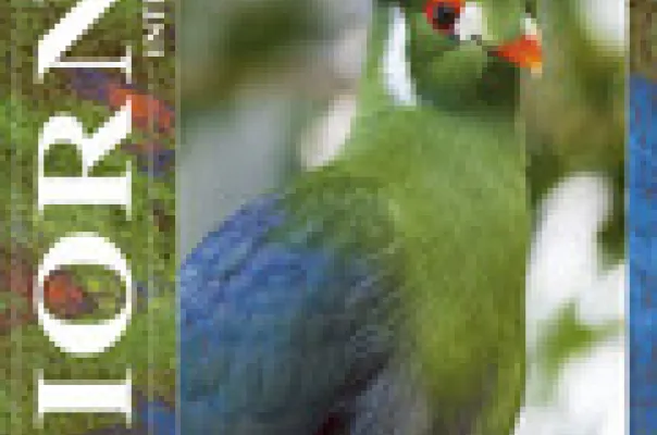 Cover tijdschrift 306