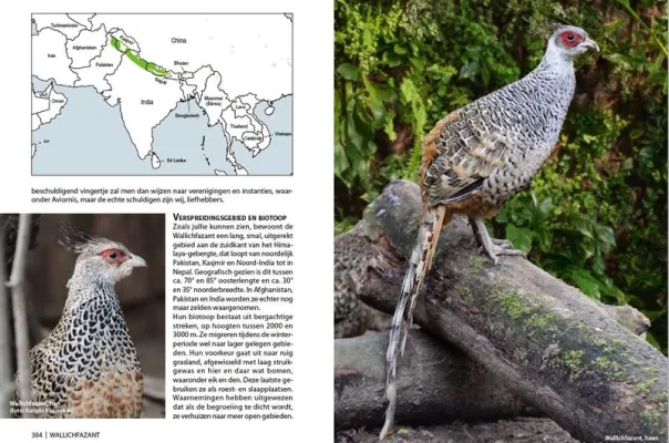 Boek fazanten inhoud