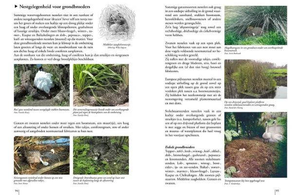 Boek watervogels inhoud