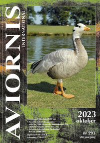 Aviornis magazine, klik hier