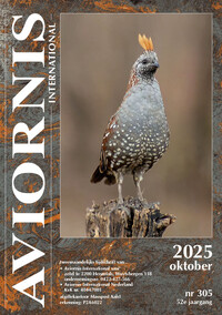 Aviornis magazine, klik hier