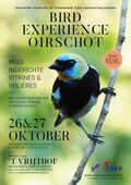Bird Experience Oirschot 2019
