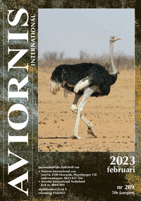 Aviornis magazine, klik hier