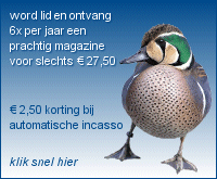 Word lid, klik hier